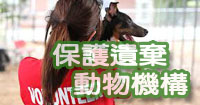 香港保護/領養動物機構列表