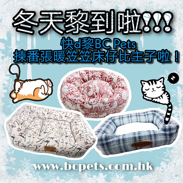 winter BED
