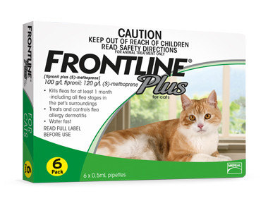 frontline_cat.jpg