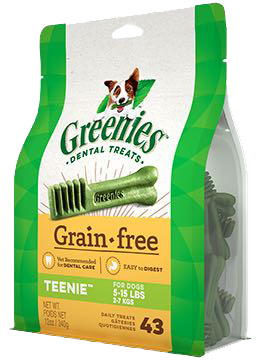 greenies gf teenie