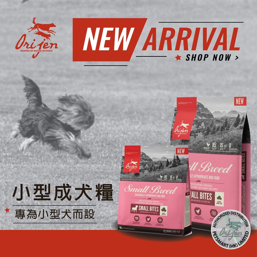 orijen small breed dog food