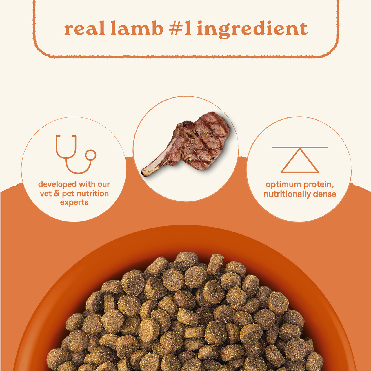 640461003105_Canidae_All_Life_Stages_Lamb_Ancient_Grains_5lbs_04_Protein__64588
