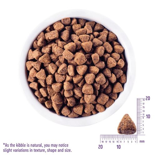 Wellness CORE Original 無穀物經典原味配方狗糧1