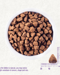 Wellness CORE Ocean 無穀物海洋魚配方狗糧