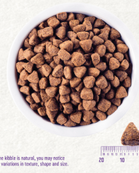 Wellness CORE Original 無穀物經典原味配方狗糧