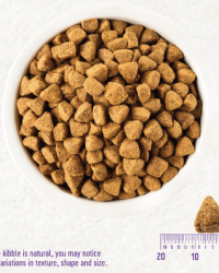 Wellness Complete Health Healthy Weight 雞肉豌豆減肥配方狗糧