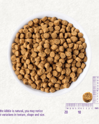 Wellness CORE Puppy 無穀物幼犬配方成長狗糧