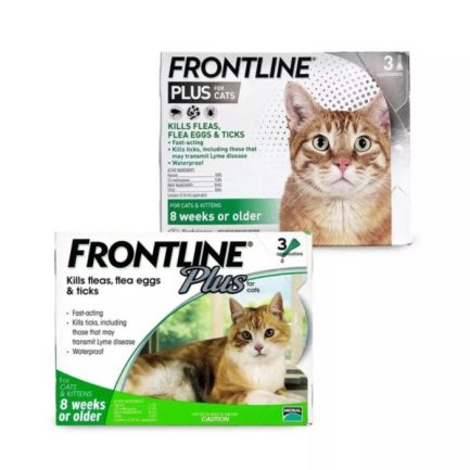 Frontline PLUS (Cat)