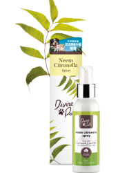 外出防蝨/驅蝨用品