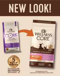 Wellness Core+ Kitten 無穀物幼貓成長配方貓糧 5lbs