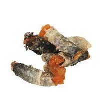 Fish4Dogs海洋之星 甜薯鱈魚皮卷 100g