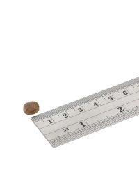 Fish4Dogs海洋之星 Superior 海洋升級系列 三文魚幼犬配方狗糧(細粒)