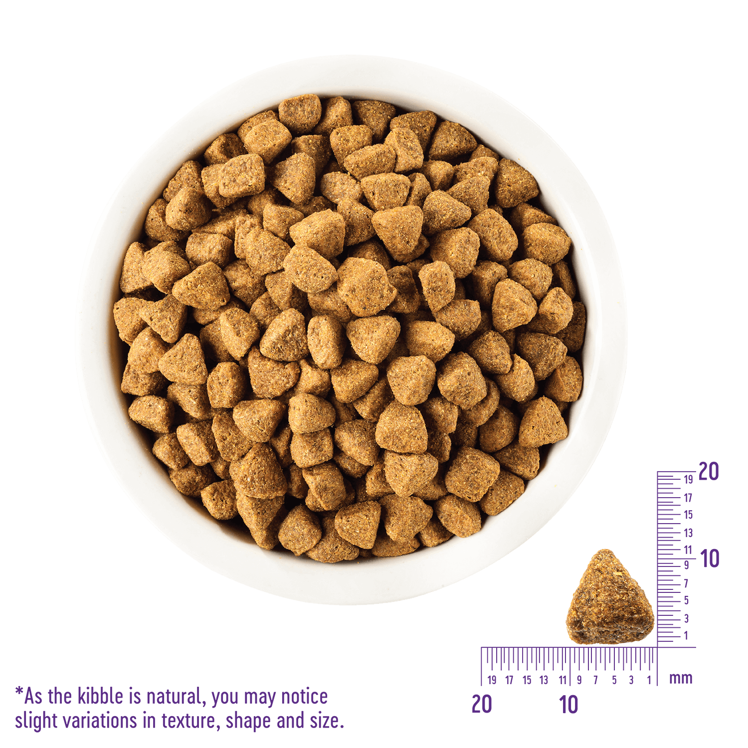 Wellness Complete Health Grain Free Lamb 無穀物羊肉配方狗糧 24lbs (新舊包裝隨機出貨) - Image 3