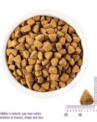 Wellness Complete Health Grain Free Chicken Formula Dog Food