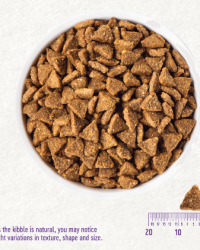 Wellness Complete Health Small Breed Adult 小型成犬火雞燕麥配方狗糧 4lbs