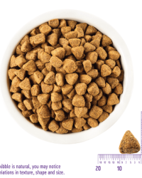 Wellness Complete Health Grain Free Chicken 無穀物雞肉配方狗糧