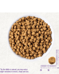 Wellness Complete Health Grain Free Puppy 無穀物幼犬成長配方狗糧