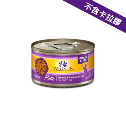 Wellness Complete Health 火雞拼三文魚 3oz