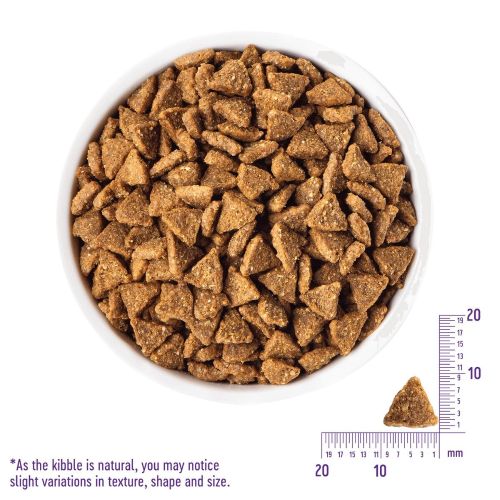 Wellness CORE Healthy Weight Small Breed Adult 無穀物小型成犬減肥狗糧 4lbs1