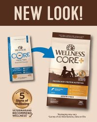 Wellness Core+ Indoor Ocean 無穀物室內貓海洋魚配方貓糧