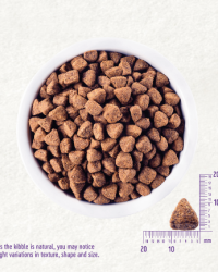 Wellness CORE Age Advantage 無穀物老犬護養配方狗糧