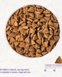 Wellness CORE Small Breed Puppy 無穀物小型幼犬狗糧 4lbs