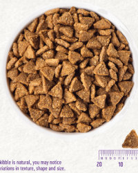 Wellness Complete Health Small Breed Senior 小型老犬火雞碗豆配方狗糧 4lbs