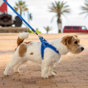 ROGZ Fast-Fit Harness (S)(各色)