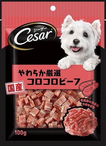 CESAR 10224925 main 56891022 20201231112709 01 515