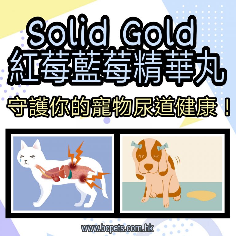 Solid Gold 紅莓藍莓精華