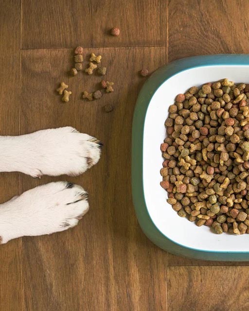 Dog Food