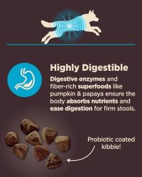 Wellness CORE Digestive Health Easy-to-Digest White Fish and Red Rice Formula Dog Food