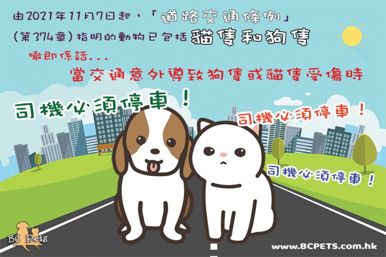 道路交通條例指明的動物已包括貓隻和狗隻