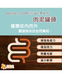 (原盤優惠12罐)Wellness CORE消化易系列-三文魚配方-肉泥主食罐頭-貓用 3oz