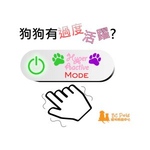 狗狗有過度活躍