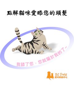 點解貓咪愛舔您的頭髮