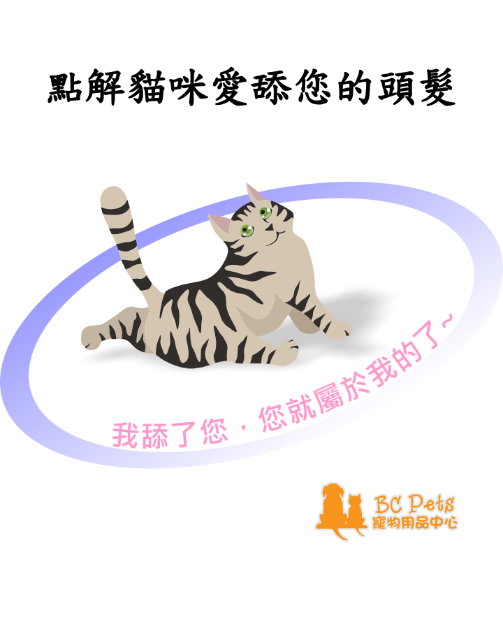 點解貓咪愛舔您的頭髮