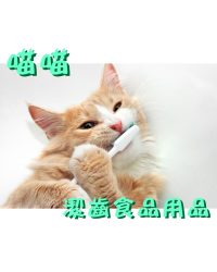 貓用潔齒用品