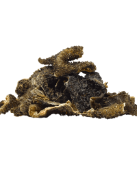 Ziwi Peak巔峰 Oral Healthcare Chews潔牙系列 Vension Tripe 鹿草胃 70g