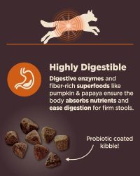 Wellness CORE Digestive Health Chicken & Brown Rice Recipe Dog Food