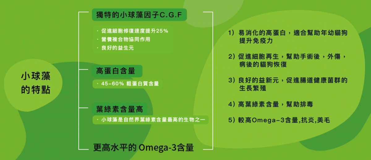 Yum Guard 營加 貓犬肉泥零食 45g(2)