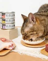 汪喵星球 低脂體重控制無膠 成貓主食罐 80g (可選味道)