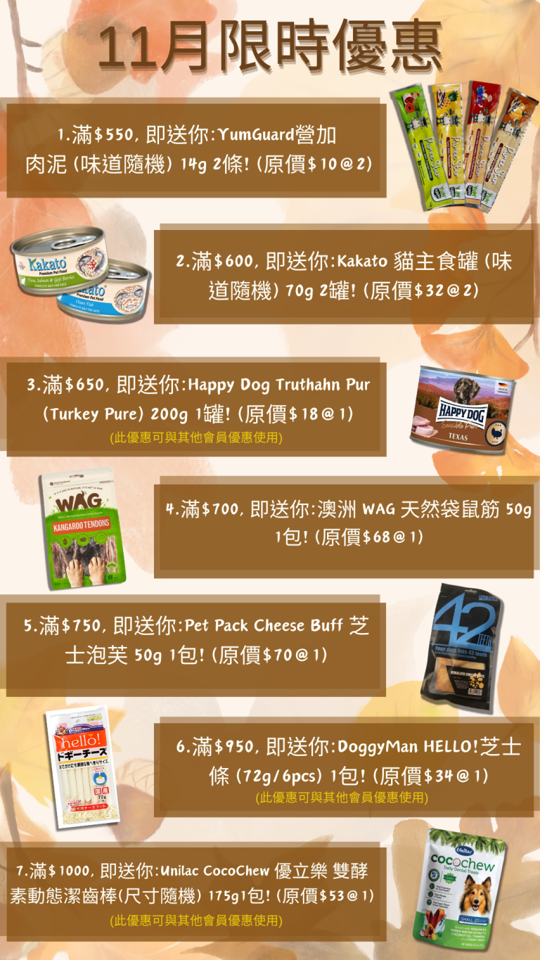 Read more about the article 2023年11月份限時優惠