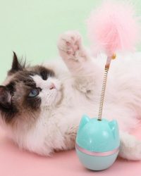 不倒翁羽毛貓玩具