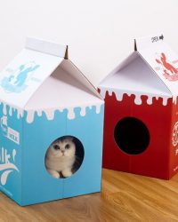 瓦通紙貓抓板附貓草(牛奶盒)(可選顏色)