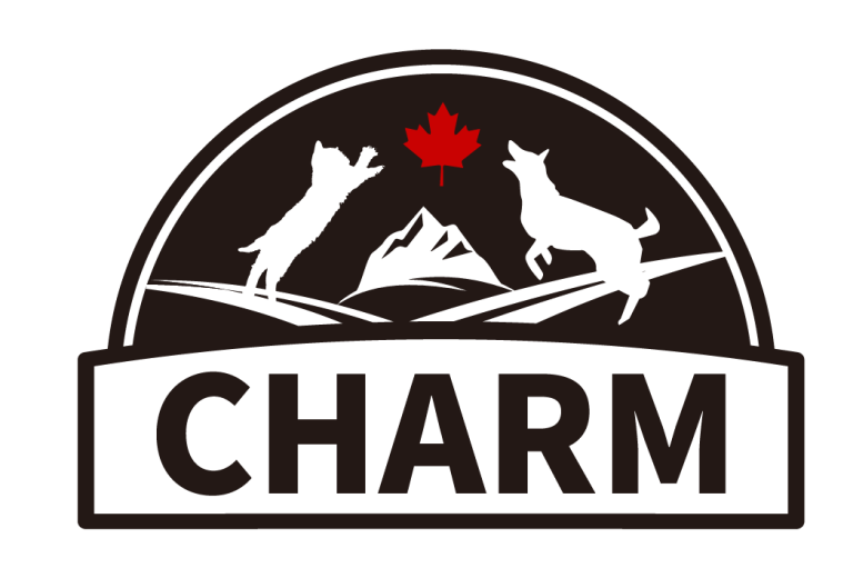 Charm野性魅力