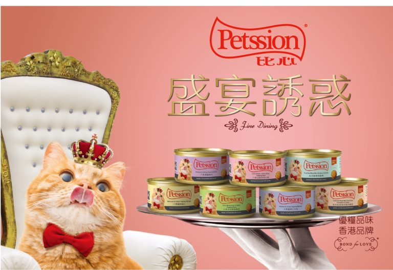 Read more about the article 