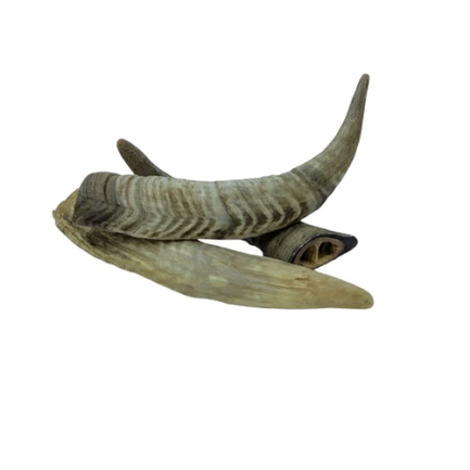 Merrimore 狗小食 - Goat Horn 山羊角 3pcs - Image 2