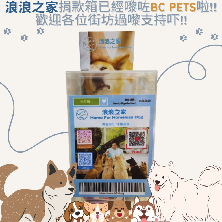 浪浪之家捐款箱