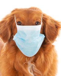 呼吸道保健用品